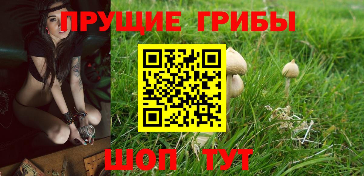 Псилоцибиновые грибы ЛСД  Вход с VPN  Кириши 