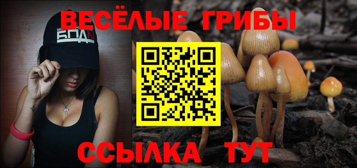 Меф Кириши